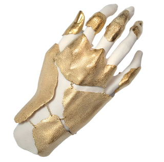 THE ARTICULATED GLOVE