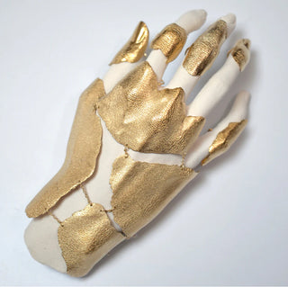THE ARTICULATED GLOVE