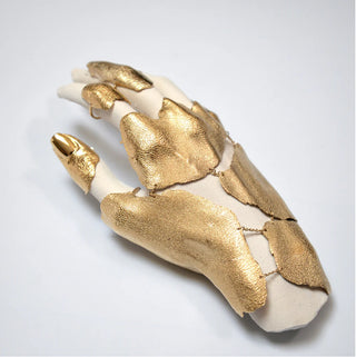 THE ARTICULATED GLOVE