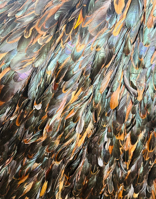 Naeem Khan Feather Cape - Early 2000s