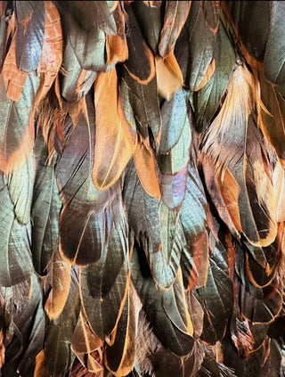 Naeem Khan Feather Cape - Early 2000s