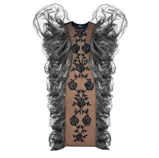 Embroidered Sheer Dress with Voluminous Detachable Sleeves
