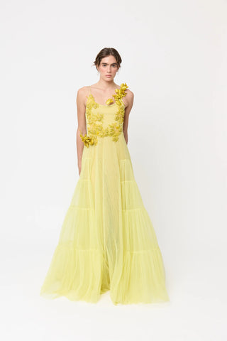 SS26 Zest Dress